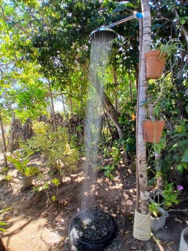 a water hose hooked up to a tree at Casa Contêiner imersão com Natureza Floresta Sapiranga-5km praia do forte in Mata de Sao Joao