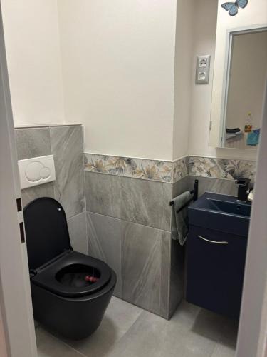 a bathroom with a black toilet and a sink at Rodinný dům v klidném prostředí in Slavkov pod Hostýnem