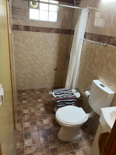 a bathroom with a toilet and a shower at Cabañas Terraza Sur in El Bolsón