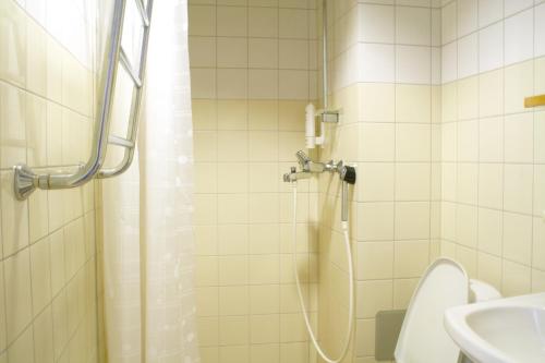 トルニオにあるHotelli Joentaloのバスルーム(シャワー、トイレ、洗面台付)