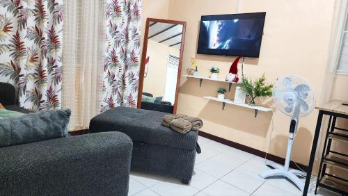 TV a/nebo společenská místnost v ubytování Cozy Ochie