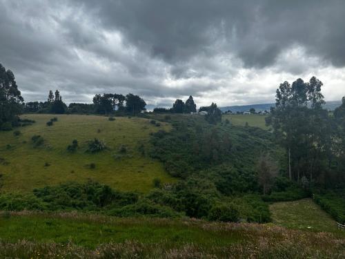 a green field with trees on a cloudy day at Cabañas quilquico spa in Quilquico