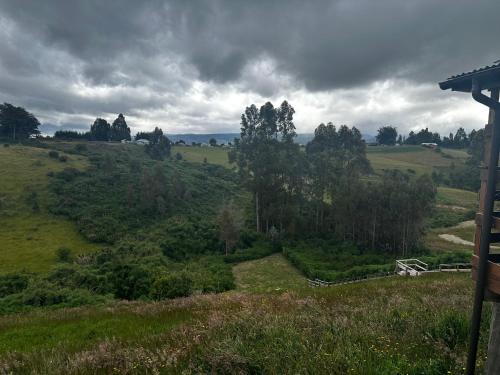 a view of a field with trees on a hill at Cabañas quilquico spa in Quilquico