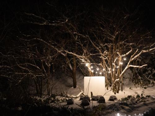 a tree with lights in the snow at night at LATERAL - Vacation STAY 36594v in Shiojiri