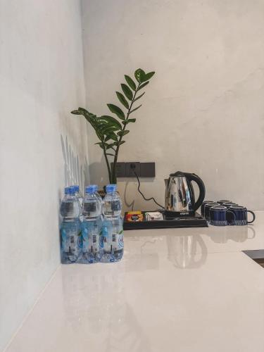 a bottle of water and a potted plant on a counter at Arunika Villa in Ciloto