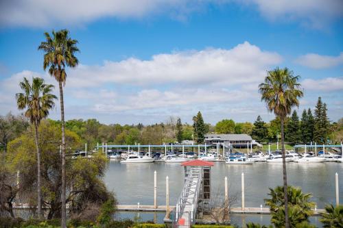 a marina with boats in the water and palm trees at The Westin Sacramento Riverfront Hotel & Spa in Sacramento