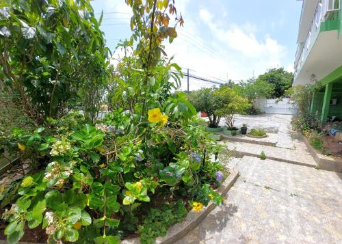 a garden with flowers and plants in a yard at Pousada Altos dos Ingleses II in Florianópolis
