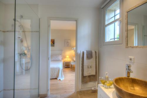 La salle de bains est pourvue d'un lavabo et d'une douche. dans l'établissement L,olivaie Côté Jardin, à Saint-Paul-de-Vence