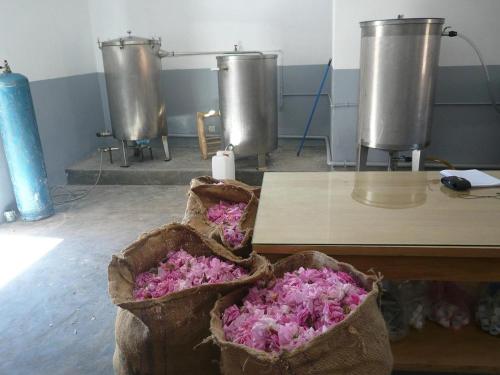 two baskets filled with pink flowers on a table at Kasbah Alami in Kalaat MGouna