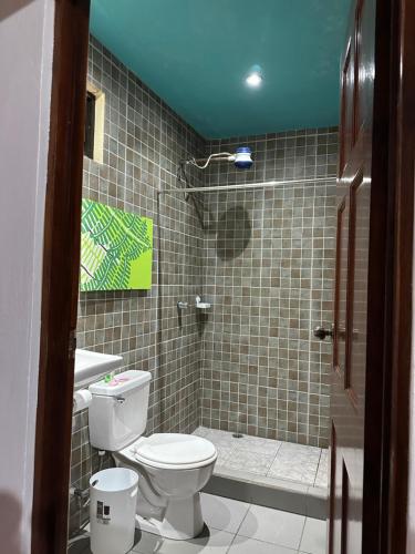a bathroom with a toilet and a sink and a shower at Aracari Eco Lodge in Corazón de Jesús