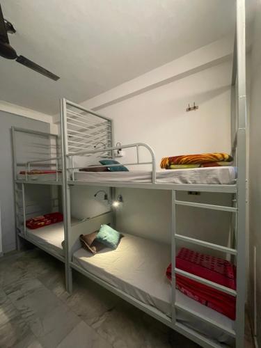 a room with two bunk beds in a room at Art Bliss Rishikesh - Yoga Hostel & Café in Rishīkesh