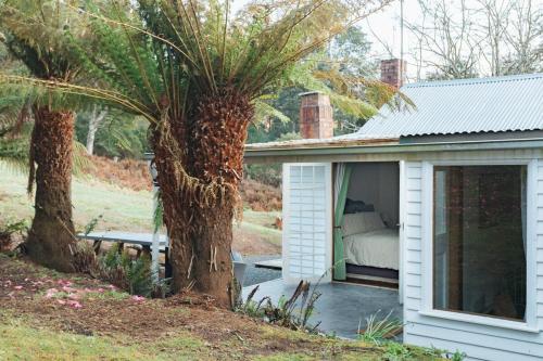 a white house with a bed and a palm tree at Fern Mt Field on Tyenna River in Tyenna