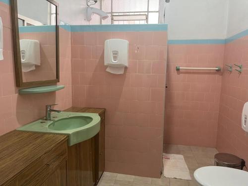 a bathroom with a green sink and pink tiles at Dodora Pousada Hostel in Bento Gonçalves