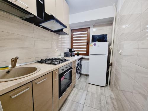 Kuchyň nebo kuchyňský kout v ubytování CITY CENTER 2ROOMs APARTAMENT CALEA VICTORIEI