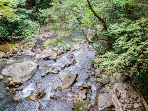 a stream of water with rocks in a forest at Kirishima Momijidani Seiryuso in Kirishima