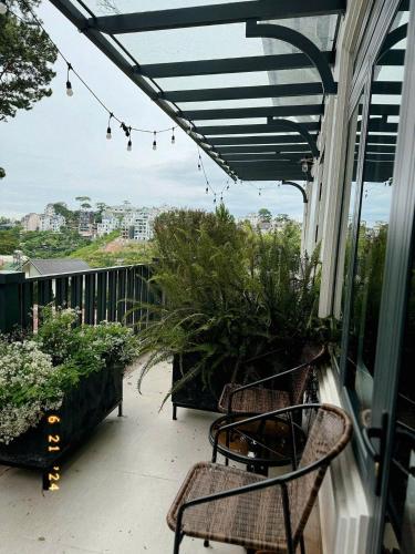 a patio with chairs and plants on a balcony at Sunflower Garden Homestay Đà Lạt in Xuan An