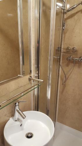 a bathroom with a sink and a shower at Dolphin Inn - The Lodge in London