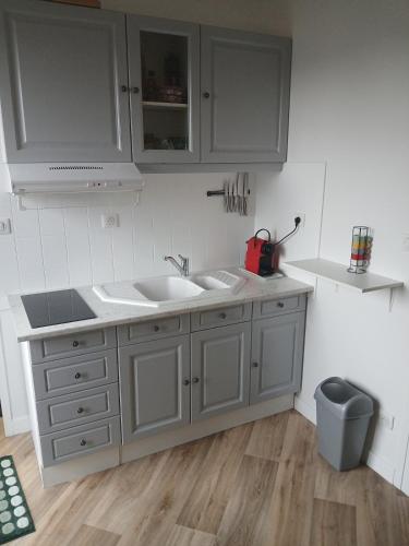 - une cuisine avec des placards blancs, un évier et une poubelle dans l'établissement 1Centre ville avec parking, à Montauban