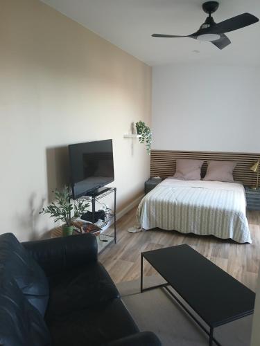 un salon avec un lit et une télévision à écran plat dans l'établissement 1Centre ville avec parking, à Montauban