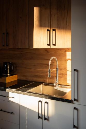 Dapur atau dapur kecil di Cyrhla Apartamenty