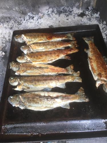 ein Haufen Fisch auf einem Grill in der Unterkunft House Sara in Latin