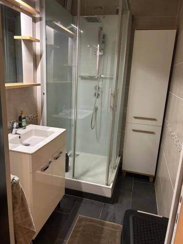 une salle de bain avec douche et lavabo dans l'établissement T3 résidence BEL AIR - Limoges - CHU - parking, à Limoges