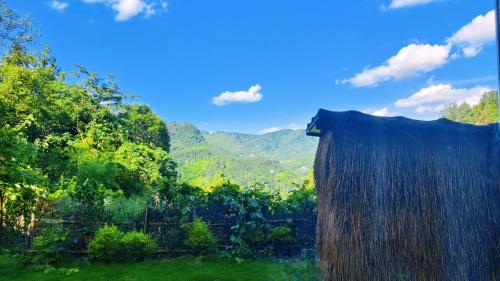 a view of a waterfall in a field with trees at Avatar Hilltop Manor B&B in Zhangjiajie