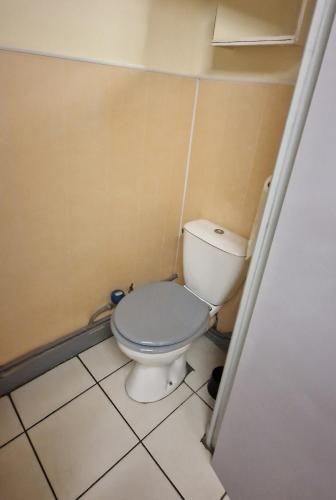 La salle de bains est pourvue de toilettes avec un siège gris. dans l'établissement Studio IRIS type T1, à Évaux-les-Bains