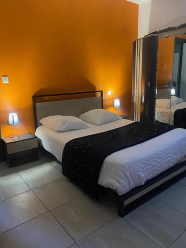 a bedroom with a large bed in a room at LE RELAIS DES COLS in Cozzano