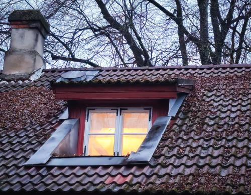 a window on the roof of a house at Paide Kesklinna kodumajutus in Paide