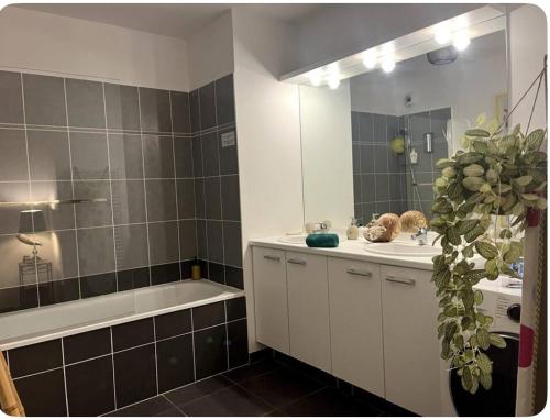 une salle de bain avec une baignoire, un lavabo et un miroir dans l'établissement Appt Standing Rooftop proche Montpellier, à Juvignac