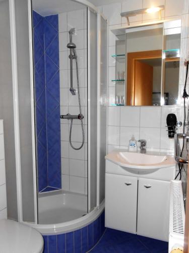 a bathroom with a shower and a sink at Willa auf der Steinplatte in Teufenbach