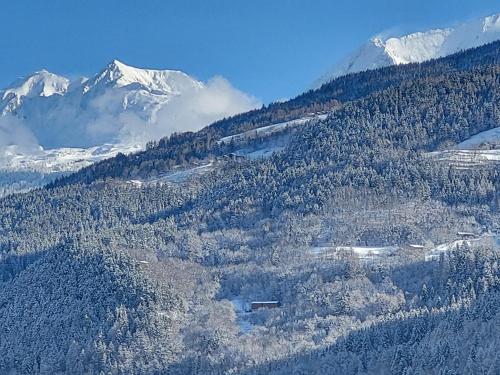 a mountain with trees and snow capped mountains at Studio in Aime La Plagne