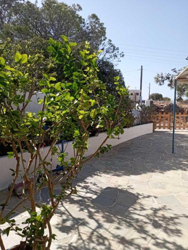 Gallery image of Kalliopi's studio in Kithnos