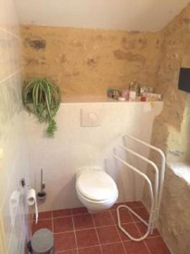 La salle de bains est pourvue de toilettes et d'une plante murale. dans l'établissement Le coustal, à Le Clapier