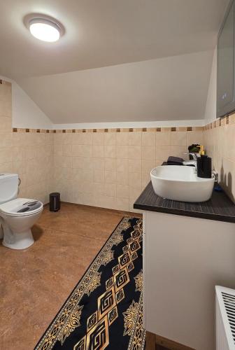 a bathroom with a toilet and a sink on a counter at Paide Kesklinna kodumajutus in Paide