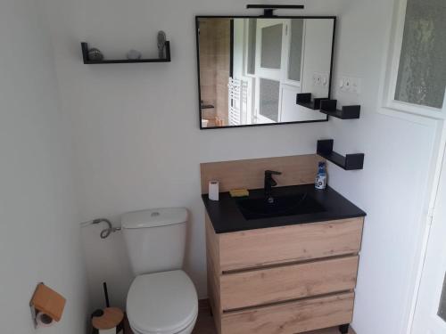une salle de bain avec toilettes, lavabo et miroir dans l'établissement Gîte de la Rogerie, à Blainville-sur-Mer