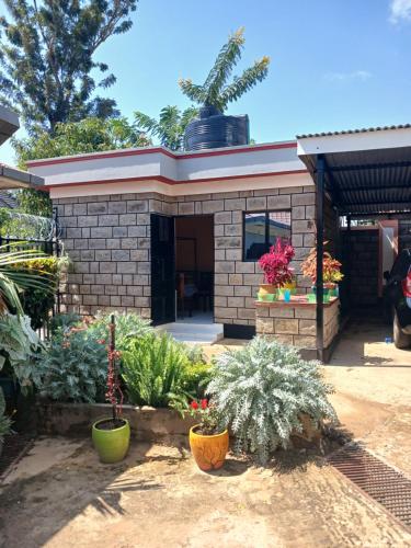 a house with plants in front of it at Bedsitter To let in Kisumu