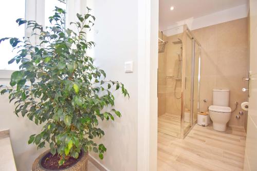 a bathroom with a toilet and a potted plant at Villa Caesar in Agios Ioannis