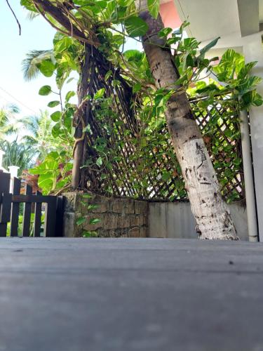 Studio Cannelle - À deux pas de la plage Nosy Be