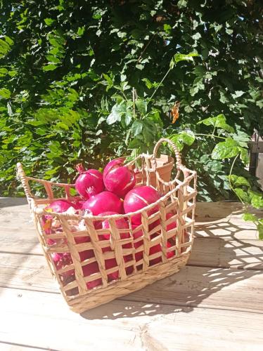 a basket of red onions sitting on a table at דצ'א - Дача - Dacha in El-Rom