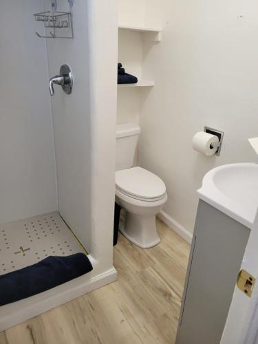 a white bathroom with a toilet and a sink at The Link Vintage Motel #8 in Lovelock