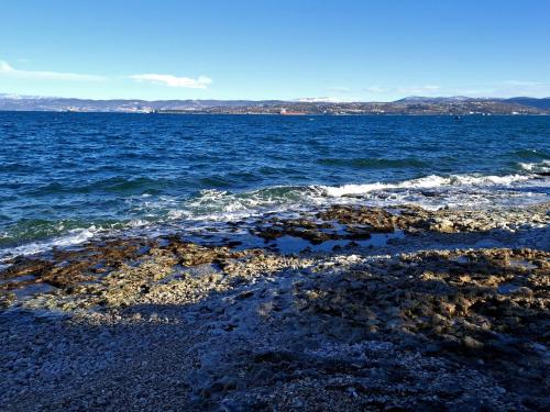a body of water with a rocky shore at Maluma in Izola