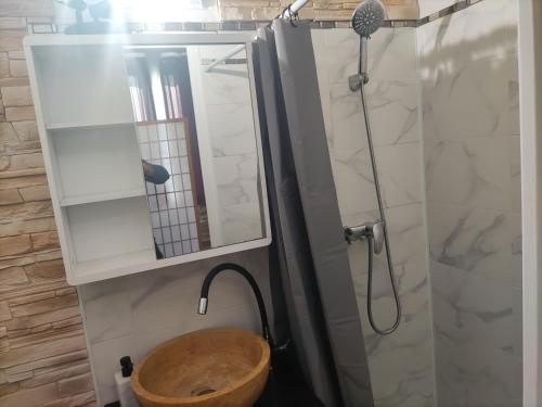 une salle de bain avec douche et toilettes en bois dans l'établissement studio idéal visite de Paris, à Ivry-sur-Seine