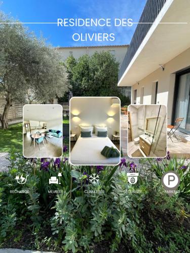 Κήπος έξω από το Les Oliviers
