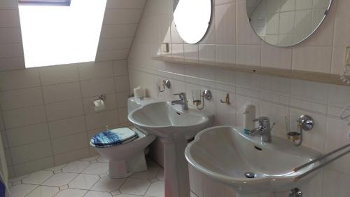 a bathroom with a sink and a toilet and a mirror at Landhaus Mecklenburg in Waren