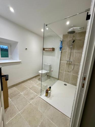 a bathroom with a shower and a toilet at L'Auberdiere in Saint-Jean-des-Essartiers