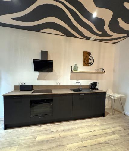 une cuisine avec un comptoir noir et un évier dans l'établissement Studio Savane, 6 min du Zoo, à Seigy
