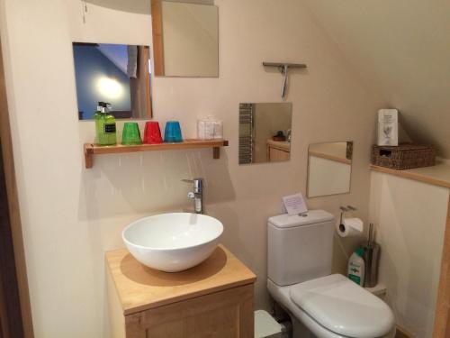 a bathroom with a sink and a toilet at Knockaloe Beg Farm in Patrick