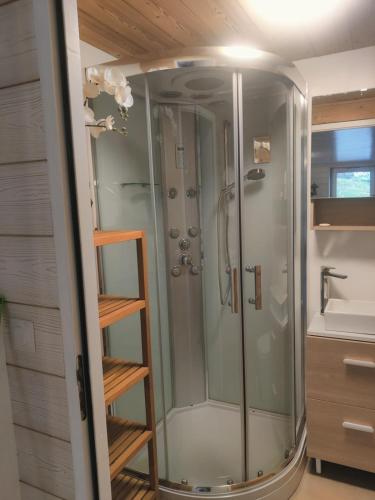 une douche avec une porte vitrée dans une salle de bain dans l'établissement Appartement 38m2 cadre champêtre, à Taninges